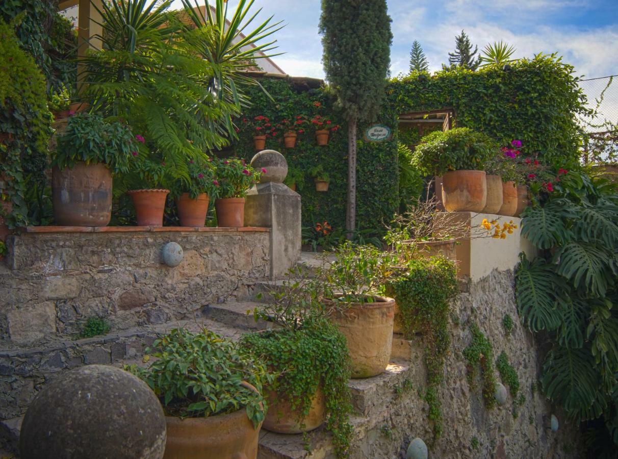 Hotel Las Terrazas San Miguel de Allende Exterior foto